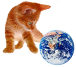 orange kitten playing with Earth